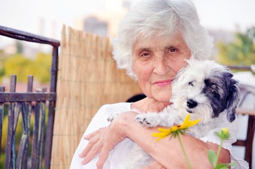 Benefícios dos Pets na Vida dos Idosos, envelhecer com qualidade