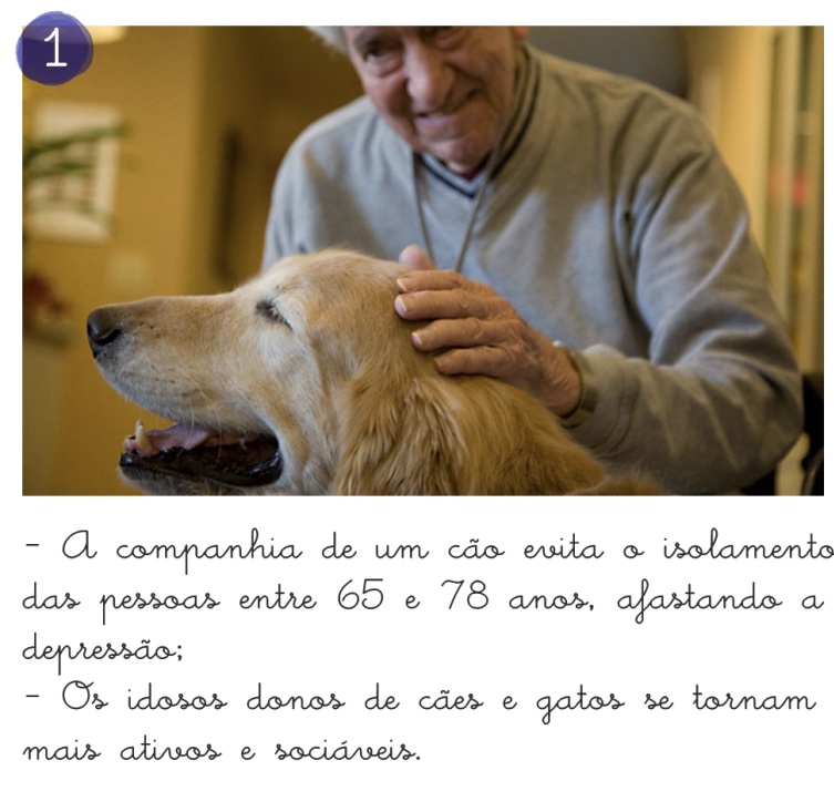 Benefícios dos Pets na Vida dos Idosos, envelhecer com qualidade